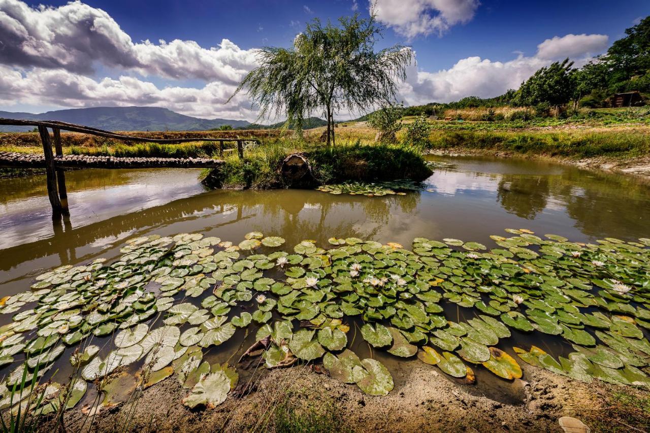 Agriturismo Biologico Autosufficienza Bagno di Romagna Εξωτερικό φωτογραφία