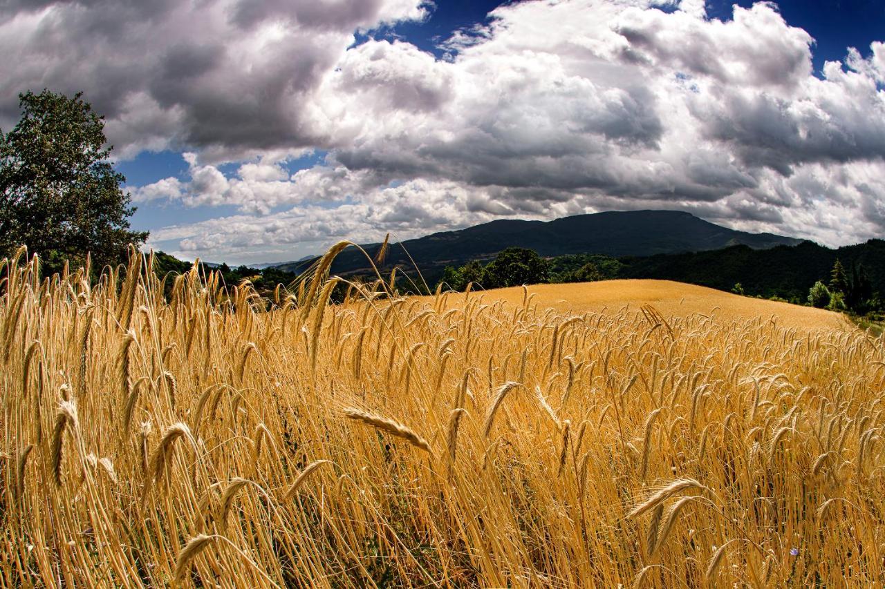 Agriturismo Biologico Autosufficienza Bagno di Romagna Εξωτερικό φωτογραφία
