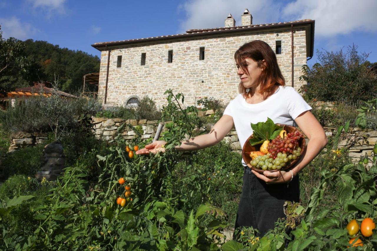 Agriturismo Biologico Autosufficienza Bagno di Romagna Εξωτερικό φωτογραφία