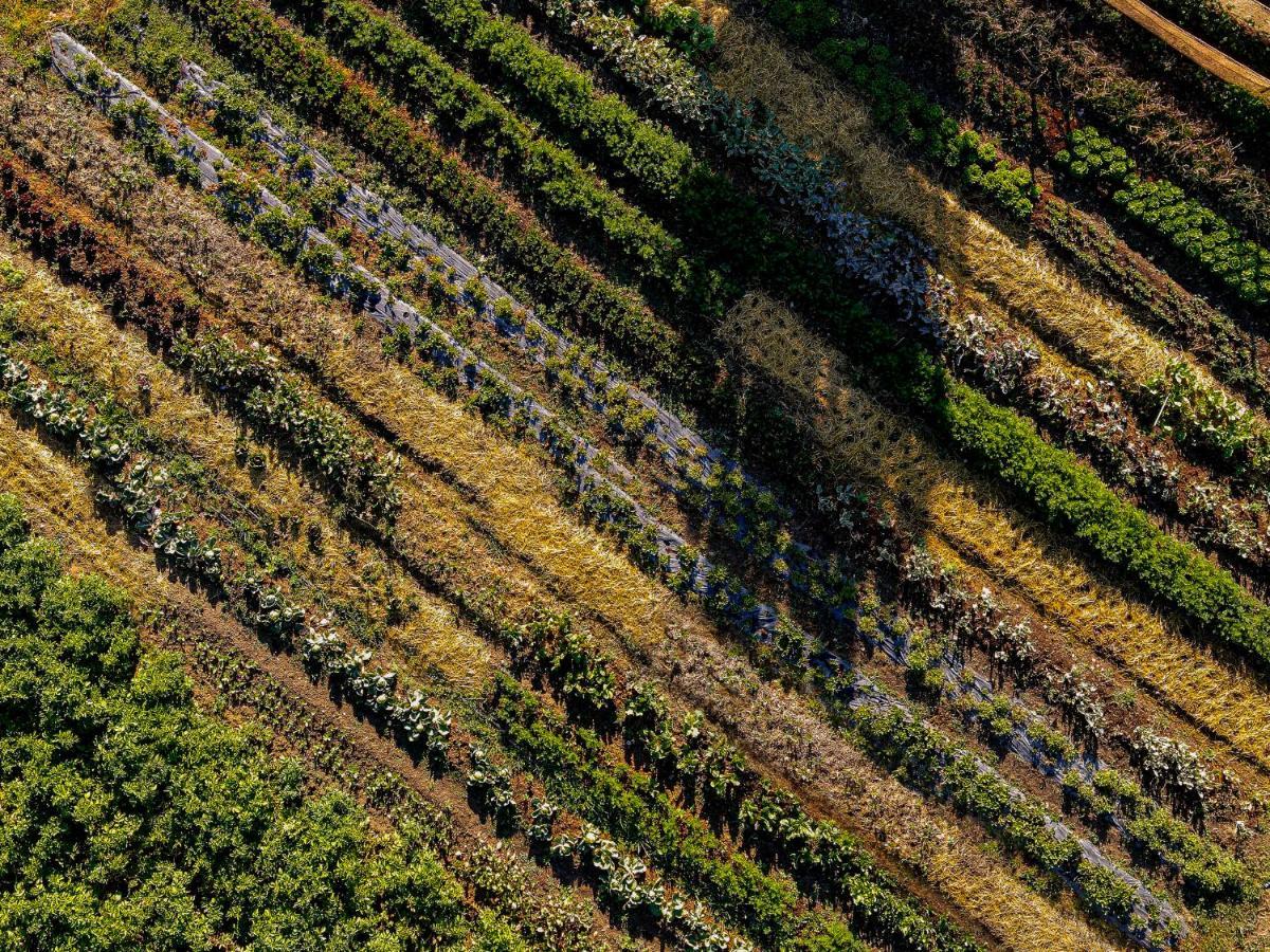 Agriturismo Biologico Autosufficienza Bagno di Romagna Εξωτερικό φωτογραφία